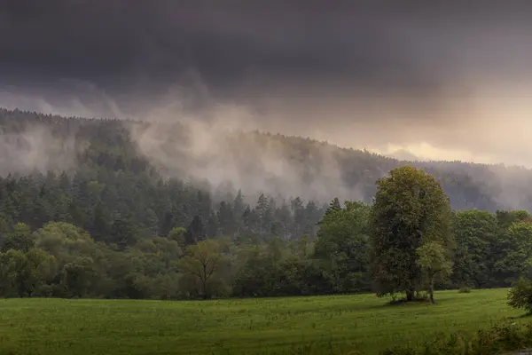 Akşam güneşi batarken sislerle kaplı bir vadinin sessiz güzelliği ortaya çıkar. Yuvarlanan orman tepelerinin üzerine ılık, yumuşak bir parıltı yayar.. 