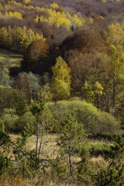 Göz kamaştırıcı bir sonbahar manzarası, orman yamacının kırmızı, turuncu ve altın renkleri ile yıkanmasıyla ortaya çıkar..