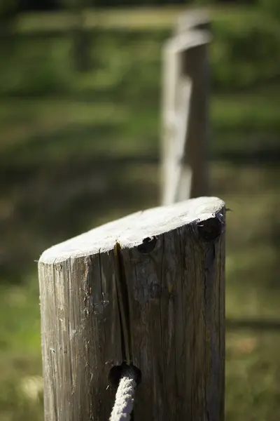 İple bağlanmış ahşap bir direk. İp görünür bir şekilde direğe bağlanmış durumda. Posta çayırlık bir alanda.