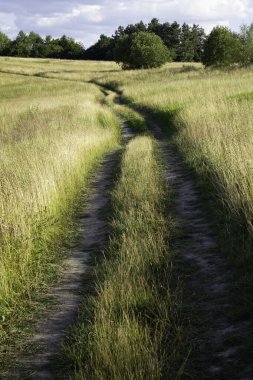 Toprak bir yol uzun otların arasından esiyor. Yol dar ve o yıpranmış, bu da daha önce sık kullanıldığını gösteriyor. Çimler kuru ve kahverengi.