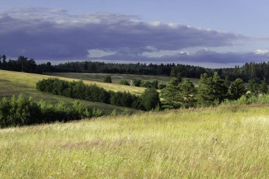 Arka planda birkaç ağaç olan bir çim tarlası. Gökyüzü bulutlu ve güneş bulutların arasında parlıyor.