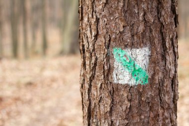 Üzerinde yeşil-beyaz işareti olan bir ağaç gövdesi. İşaret, sağını gösteren yeşil oklu bir haç.