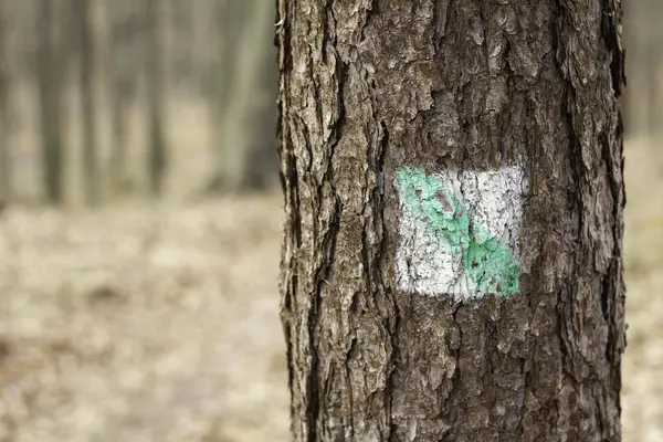 Üzerinde yeşil-beyaz işareti olan bir ağaç gövdesi. İşaret, sağını gösteren yeşil oklu bir haç.