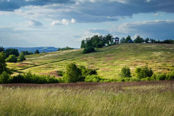 Büyük bir tarla, birkaç ağaç ve uzakta küçük bir bina. Gökyüzü bulutlu ve çimenler uzun