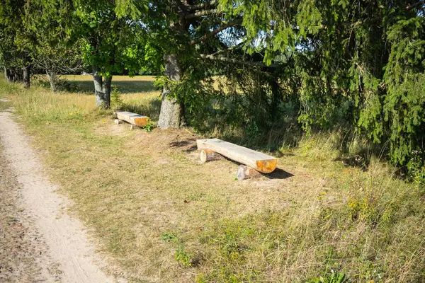 Bir ağacın yanındaki çimenli bir tarlada bir bank oturuyor. Banka ahşaptan yapılmıştır ve boştur. Saha yemyeşil ve yemyeşil, ve bank tarlanın ortasında yer alıyor.