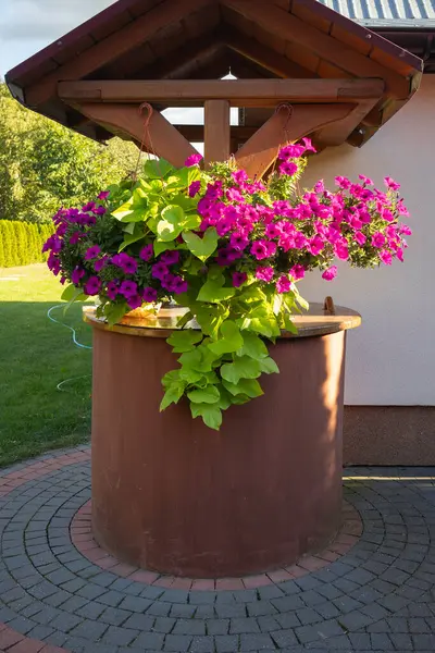 Büyük mor bir saksı tuğla bir geçitte oturur. Tencere mor ve yeşil çiçekler de dahil olmak üzere çeşitli çiçeklerle dolu. Çiçekler bir denge duygusu yaratacak şekilde düzenlenir.