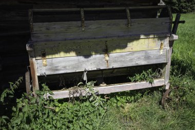 Paslı zincirli ahşap bir bank çimenli bir tarlada oturuyor. Yedek kulübesi eski ve kırsal bir görünüşü var.