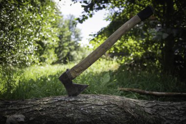 Çimenli bir arazide büyük bir balta bir kütüğün üzerinde oturuyor. Vahşi yaşam kavramı ve kamp yapmak ya da yürüyüş yapmak gibi doğa aktiviteleri potansiyeli