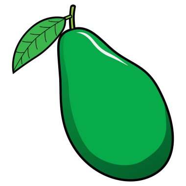 Avokado vektör ilüstrasyonu, beyaz arka planda izole edilmiş.