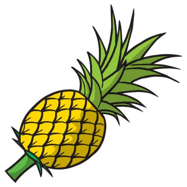 ananas vektör illüstrasyonu üst görünüm resimleri