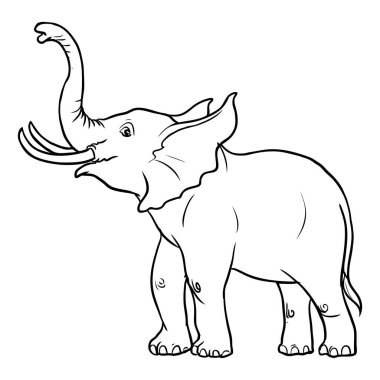 fil çizgisi vektör illüstrasyonu üst görünüm