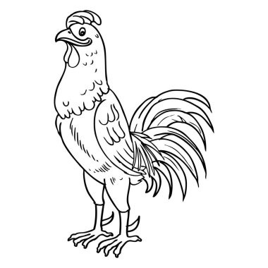 Rooster çizgisi vektör illüstrasyonu üst görüntü