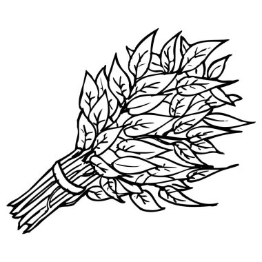 ıspanak hattı vektör illüstrasyonu üst görünüm resimleri