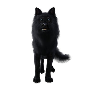 3D Render illustration of black wolf