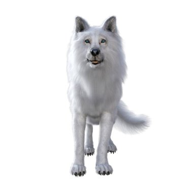 3D Render illustration of white wolf