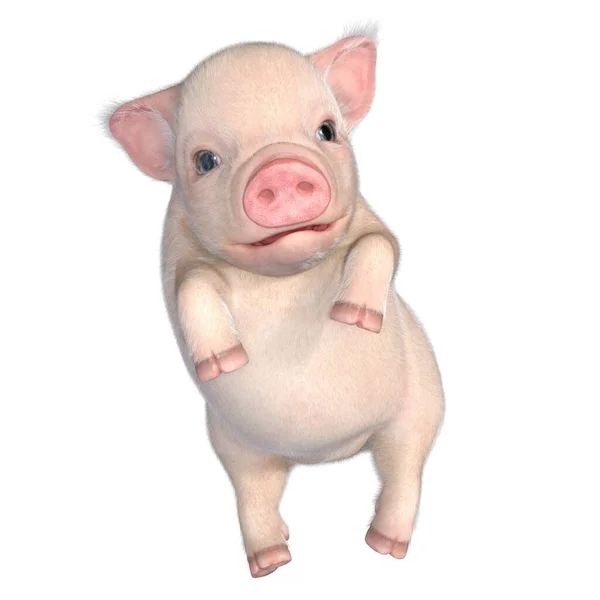 3D渲染 可爱的小猪粉红色 — 图库照片