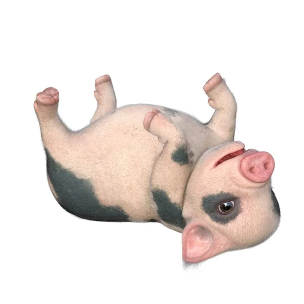 Render Illustration Cute Piglet Spotted — Stock Photo, Image