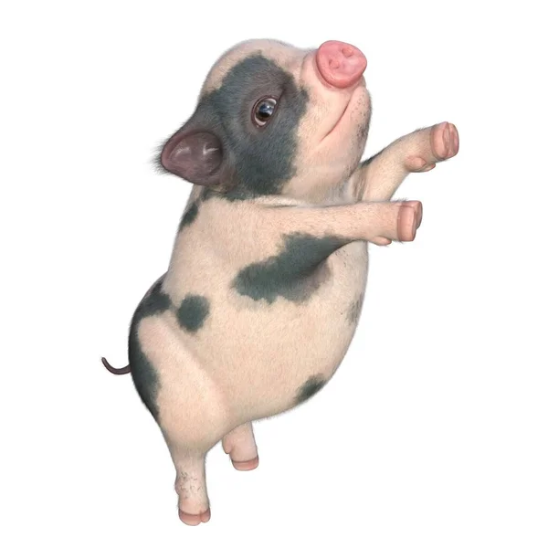 Render Illustration Cute Piglet Spotted — Stock Photo, Image