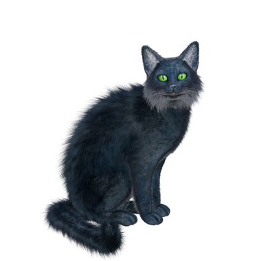 CG, 3D görüntü, resimleme, siyah kedi, uzun saç.