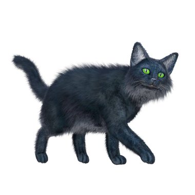 CG, 3D görüntü, resimleme, siyah kedi, uzun saç.