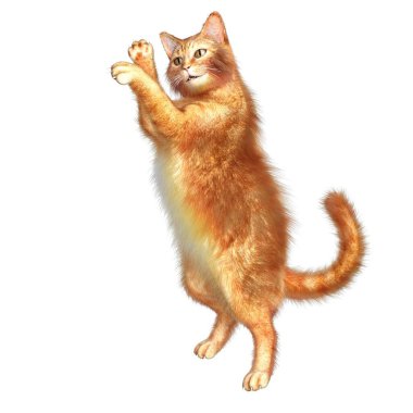 CG, 3D görüntü, illüstrasyon, kızıl kedi, uzun saç.