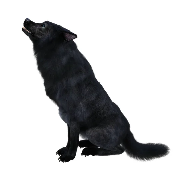 Render Illustratie Zwarte Wolf — Stockfoto