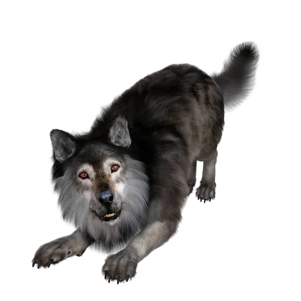 Рендеринг Иллюстрация Коричневый Волк — стоковое фото