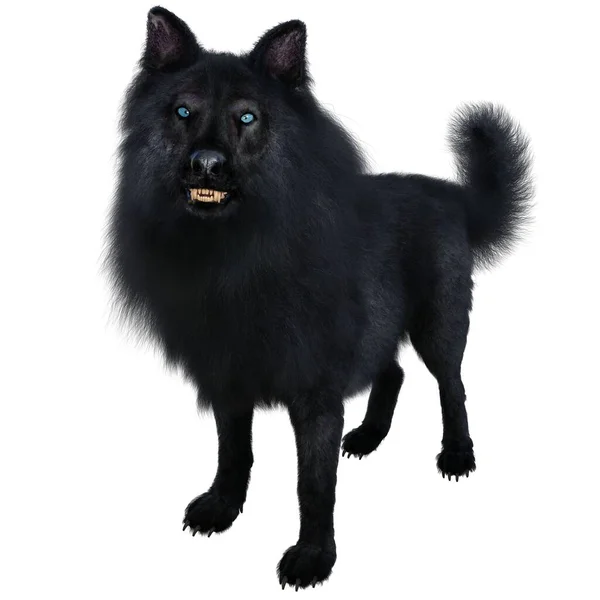 Render Ilustración Lobo Negro —  Fotos de Stock
