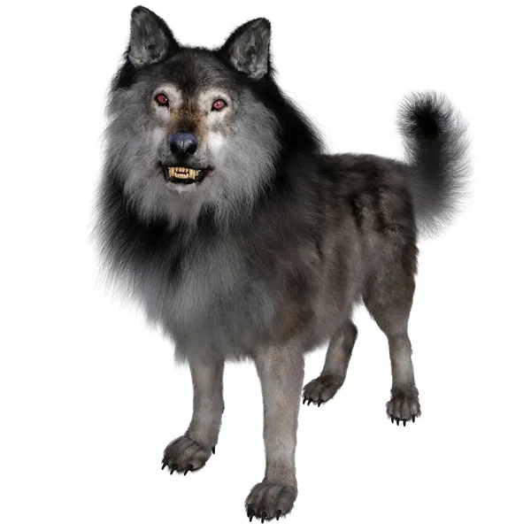 Render Illustratie Bruine Wolf — Stockfoto