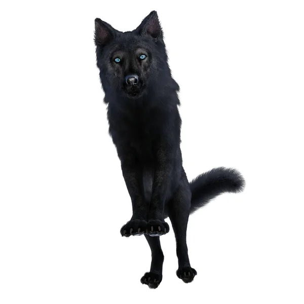 Render Illustratie Zwarte Wolf — Stockfoto