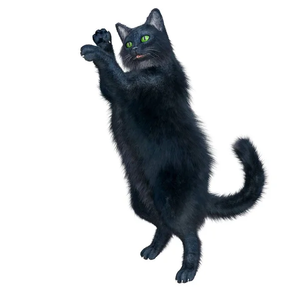 Render Illustration Black Cat Long Hair — Stock Photo, Image