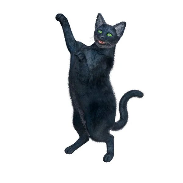Vykreslení Ilustrace Černá Kočka Krátké Vlasy — Stock fotografie