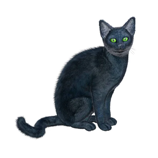 Render Ilustración Gato Negro Pelo Corto — Foto de Stock