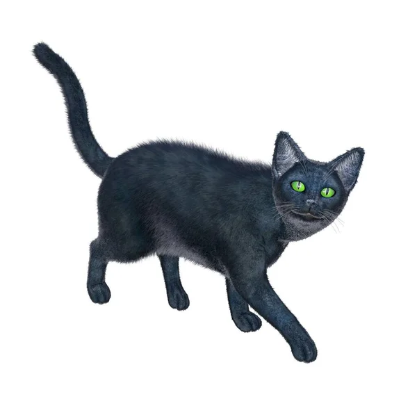 Render Ilustración Gato Negro Pelo Corto —  Fotos de Stock