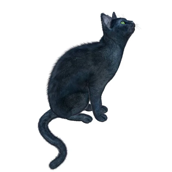 Render Ilustración Gato Negro Pelo Corto — Foto de Stock