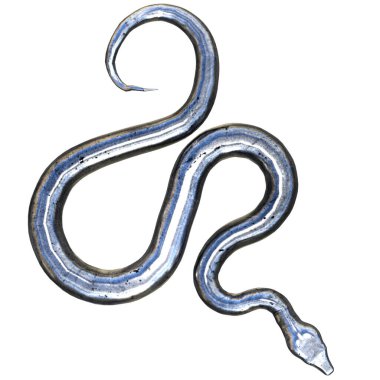 3D çizim, illüstrasyon, yılan eski gümüş.