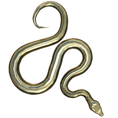 3D çizim, illüstrasyon, yılan altını