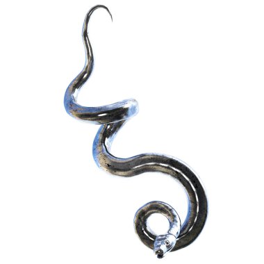 3D çizim, illüstrasyon, yılan eski gümüş.