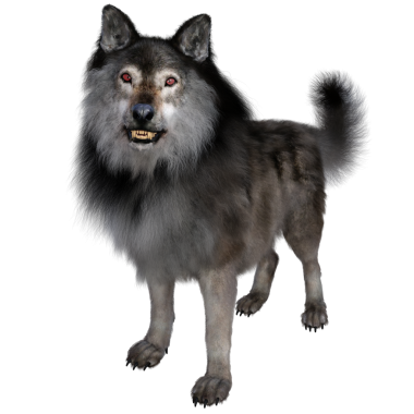 CG, 3D görüntüleme, illüstrasyon, izole edilmiş, kurt, şeffaf, png