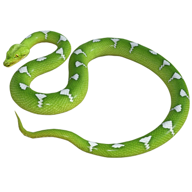 3D görüntüleme, illüstrasyon, yılan, yeşil ve beyaz