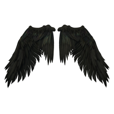 fantezi tüyü kanatlar melek, şeytan siyah