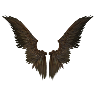 fantezi tüyü kanatlar melek, şeytan kahverengi