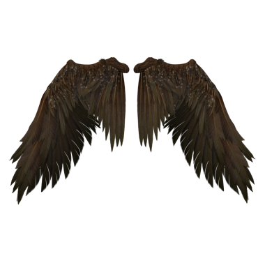 fantezi tüyü kanatlar melek, şeytan kahverengi