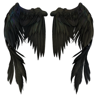 fantezi tüyü kanatlar melek, şeytan siyah