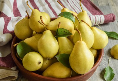 Olgun sarı armutlar, içinde yeşil yapraklar olan ahşap bir masada, kapalı bir masada. Arka planda geleneksel bulaşık havlusu. Mevsim hasadı. Pişirmek için taze malzemeler. Yemeye hazır tatlı meyveler. Durgun hayat