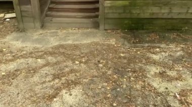 Old traditional wooden house with carved windows. Rundown house. Summer cottages of 19th century - suburb of Kyiv, Ukraine. August 1 2021.