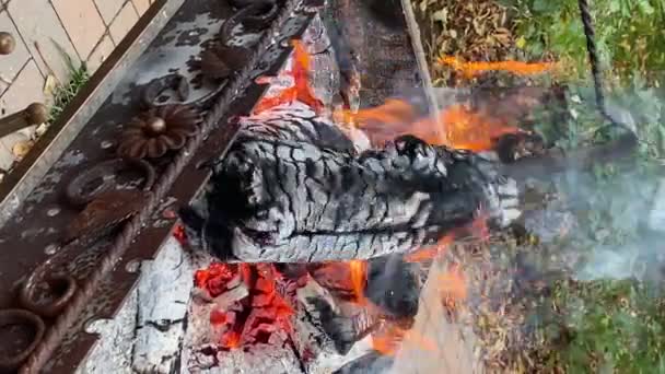 認識できない人は オープンファイアメタルポーカーを攪拌Proding 明るい木のログを燃焼赤熱い炎屋外 薪がグリルで燃える バーベキュー用の準備石炭 バーベキュー機器 ピクニック — ストック動画