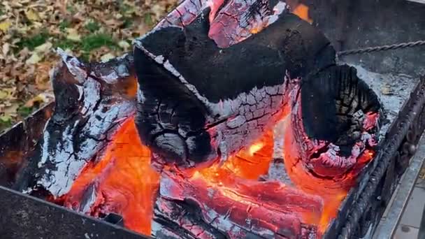 火の赤い熱い炎を屋外で明るく燃える木製の丸太 スパークリングたき火 薪がグリルで燃える 開けろ バーベキュー用の石炭の準備 バーベキュー機器 ピクニックだ キャンプファイア安全 — ストック動画