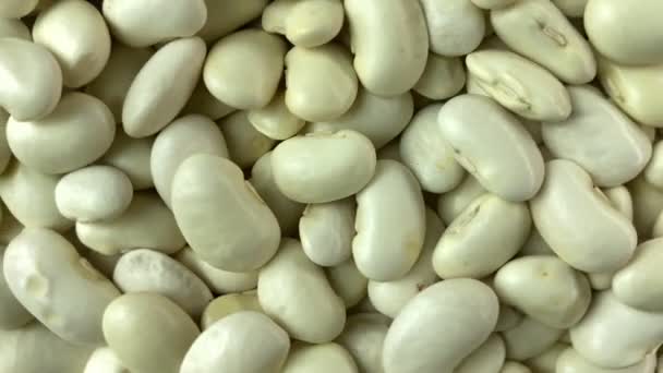 Slow Motion Rotation Raw White Beans Indoors Macro Shot Bean — Stockvideo