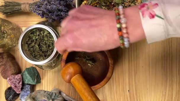 Table Top View Skilled Female Herbalist Mixing Various Dried Herbs — Wideo stockowe